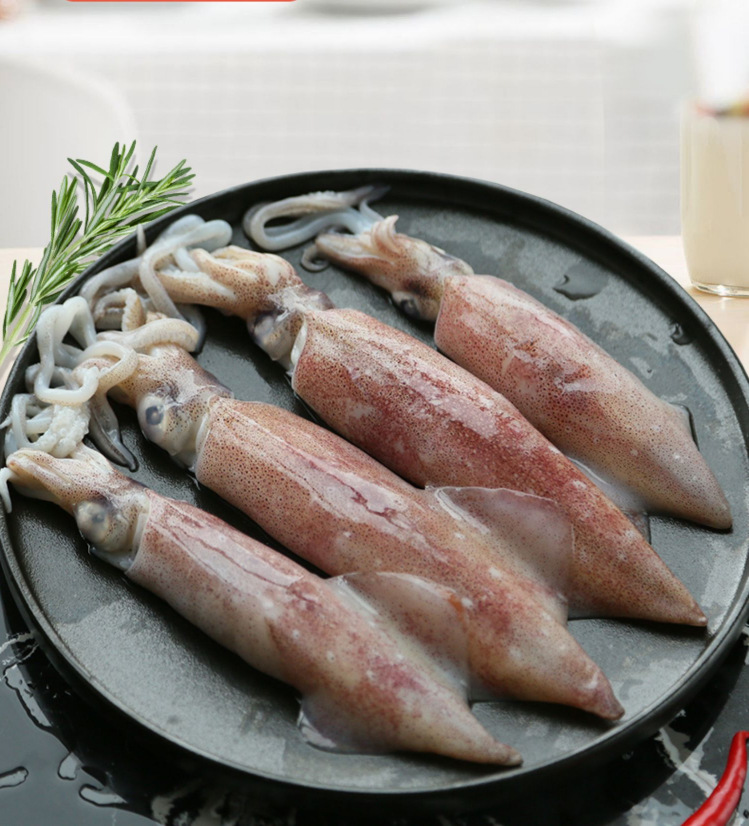 海兔笔管鱿鱼鲜活冷冻250克*6盒加干冰发货包邮-阿里巴巴