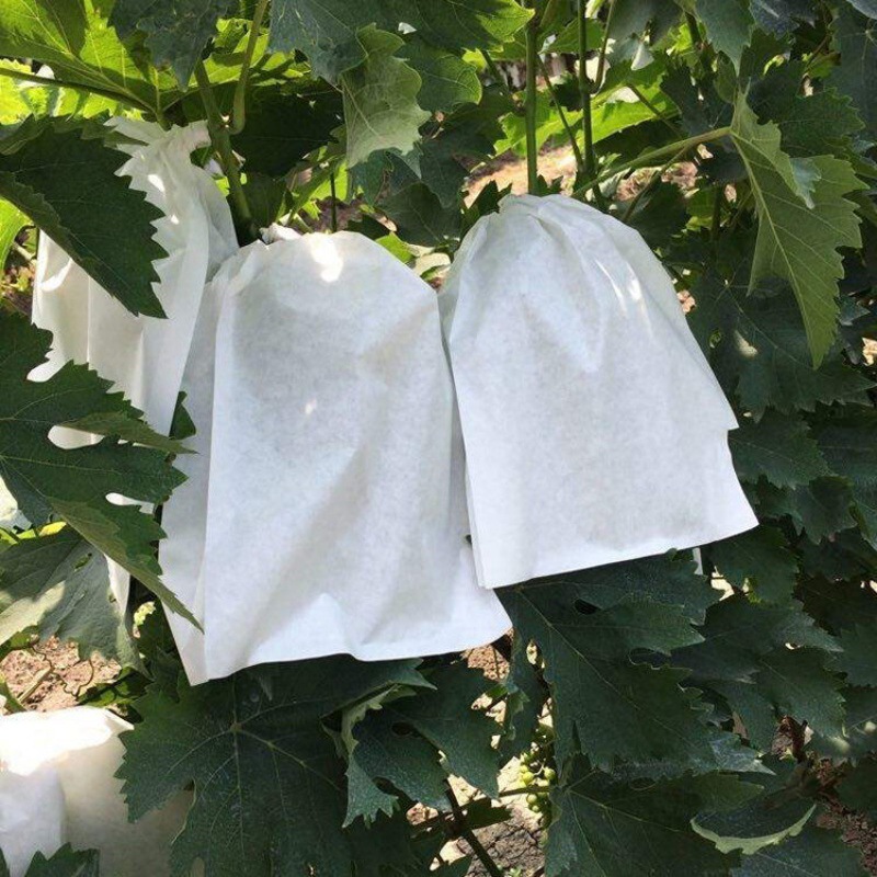 水果套袋葡萄纸袋防虫水防病害育果袋套葡萄纸袋露天葡萄袋子