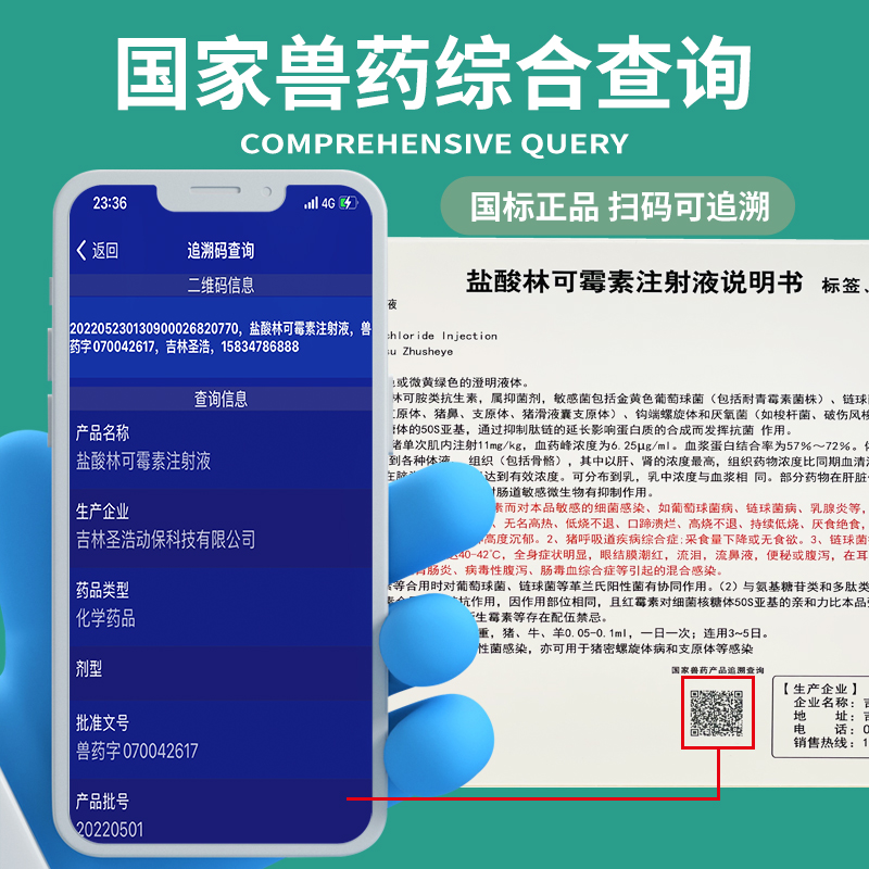 ly混感先锋 盐酸林可霉素注射液 无名高热混合感染蓝耳病链球菌猪
