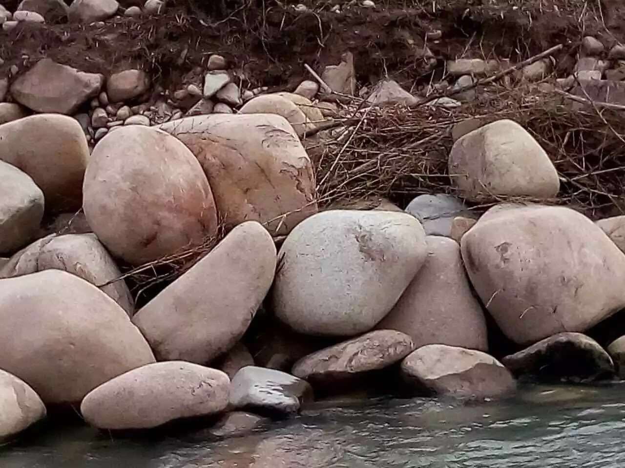 批发水冲石溪滩石 大规格鹅卵石 黄蜡石 园林铺路石 园林工程用品