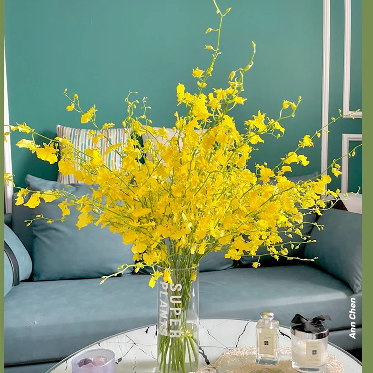 跳舞兰一束10支,不同长度的价格不一样40-60厘米长度鲜花价格每天浮动