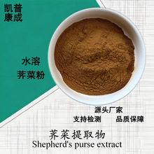 荠菜提取物10:1 水溶荠菜粉Shepherd's purse extract 现货可寄样