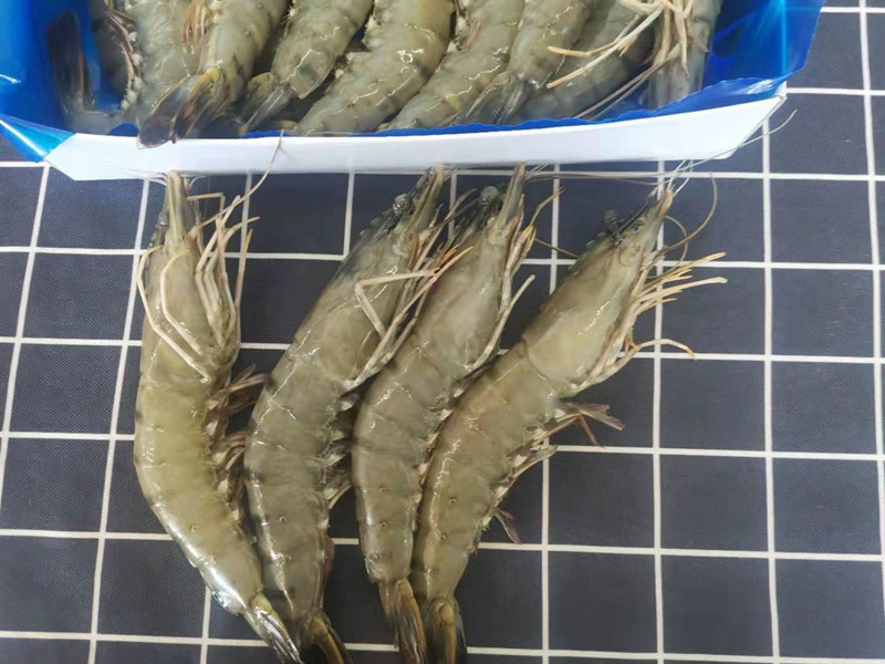 马来西亚黑虎虾净重800g超大海虾活冻大虾老虎虾草虾斑节虾虎虾