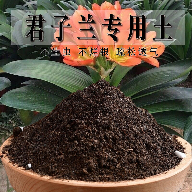 君子兰土土养花种花土种植土酸性土壤肥料一件速卖通代发
