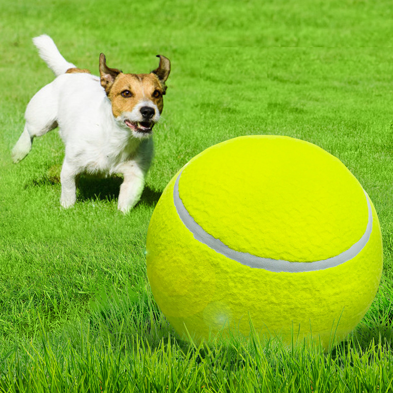 狗狗玩具球狗狗网球宠物足球金毛柯基柴犬边牧玩具狗狗球宠物用品