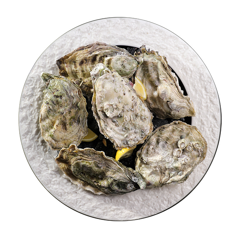 法国进口露娜金珍珠生蚝鲜活生蚝大量批发西餐厅蚝吧直供代理海鲜