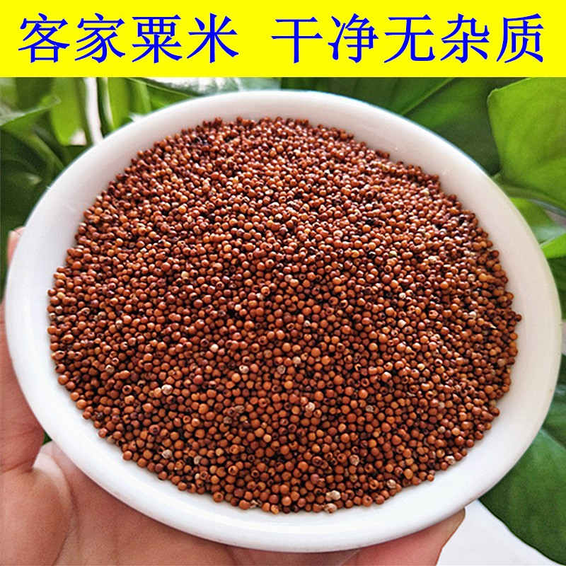 红小米粗粮-红小米粗粮厂家,品牌,图片,热帖-阿里巴巴