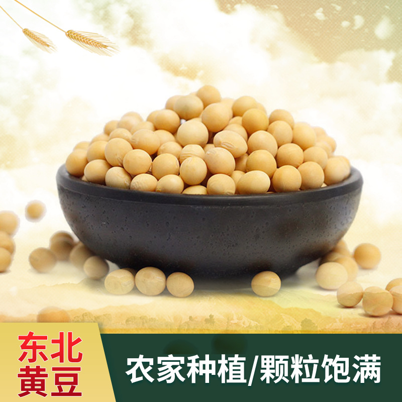 黄豆批发 东北黄豆工厂直批 粮油农副产品批发 五谷杂粮批发