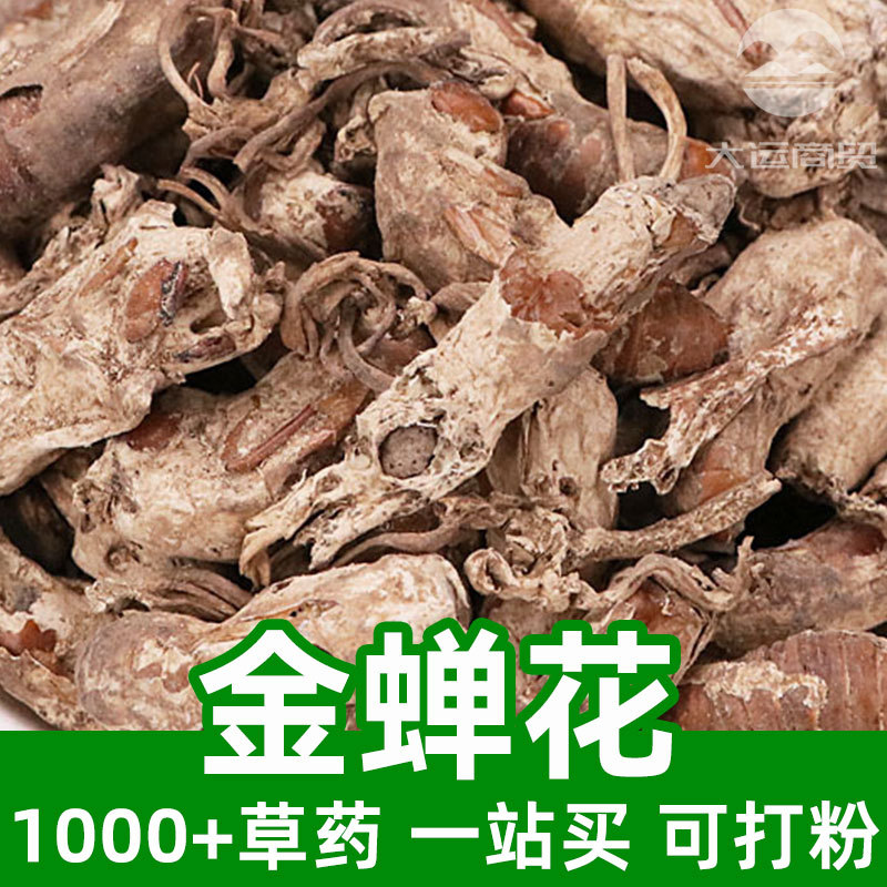 金蝉花1kg食品级中草药原材料可打粉cordyceps sobolifera蝉蛹草