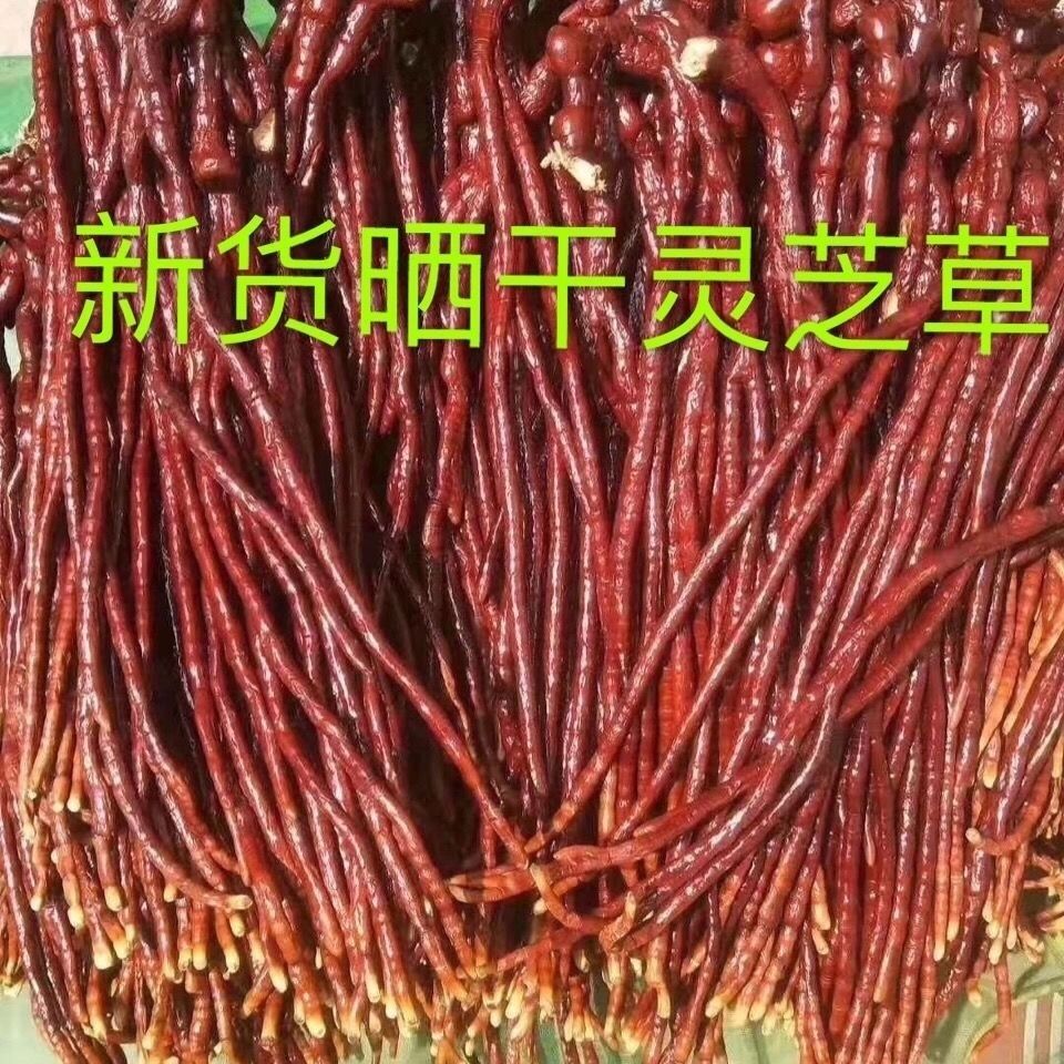 鹿角灵芝500克长白山半野生灵芝草泡酒煲汤佛手多规格包邮-阿里巴巴