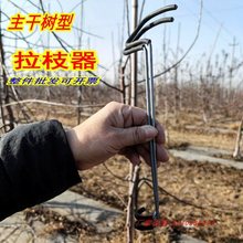 果树拉枝定型器压枝器别枝器通用改进型镀锌钢丝开角果树拉枝