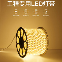 led灯带 2835贴片防水高压5730变光户外亮化工程双排三排220V灯带