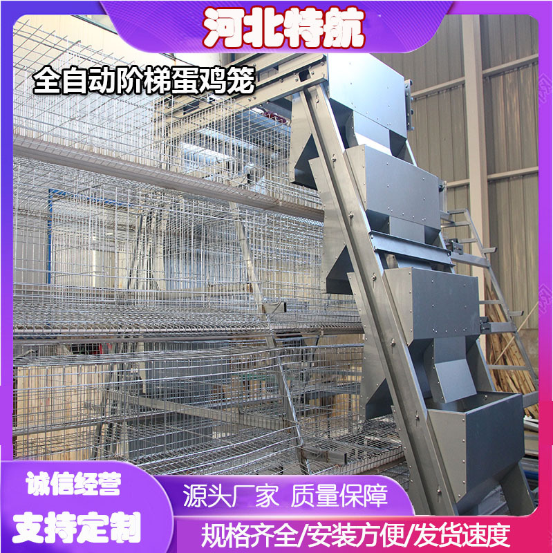 阶梯蛋鸡笼全自动新款养鸡养殖设备加背负式喂料机多层阶梯热镀锌
