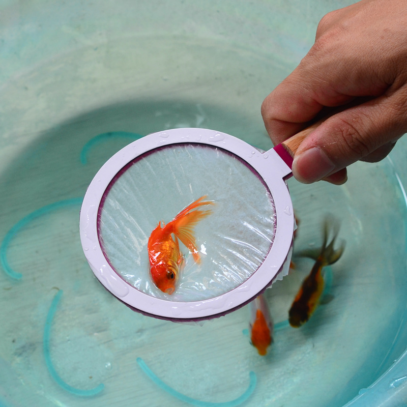 亲子游戏儿童广场娱乐项目摆夜市地摊货源纸捞日本捞金鱼纸网捞鱼