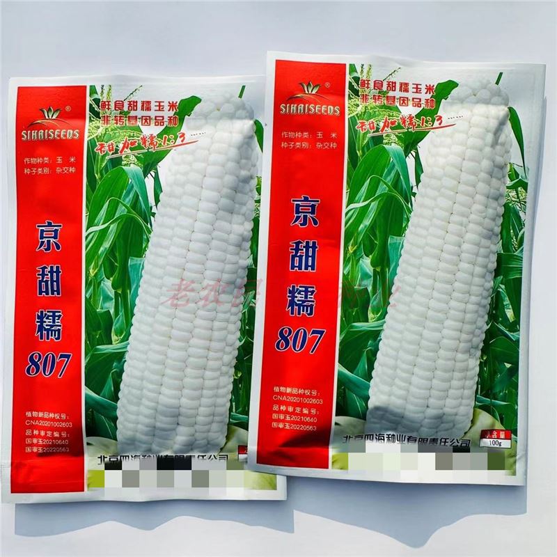 北京四海京甜糯807玉米大棒甜加糯1比3粘黏白甜糯玉米种子蔬菜籽