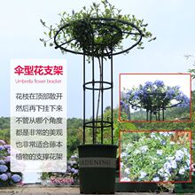 园艺伞形玫瑰爬藤架月季铁线莲攀藤蘑菇蔷薇花架绿植支架杆户外