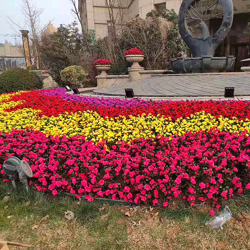 仿真杜鹃映山红仿真花假花户外工程花坛花槽隔断装饰绢花仿真花
