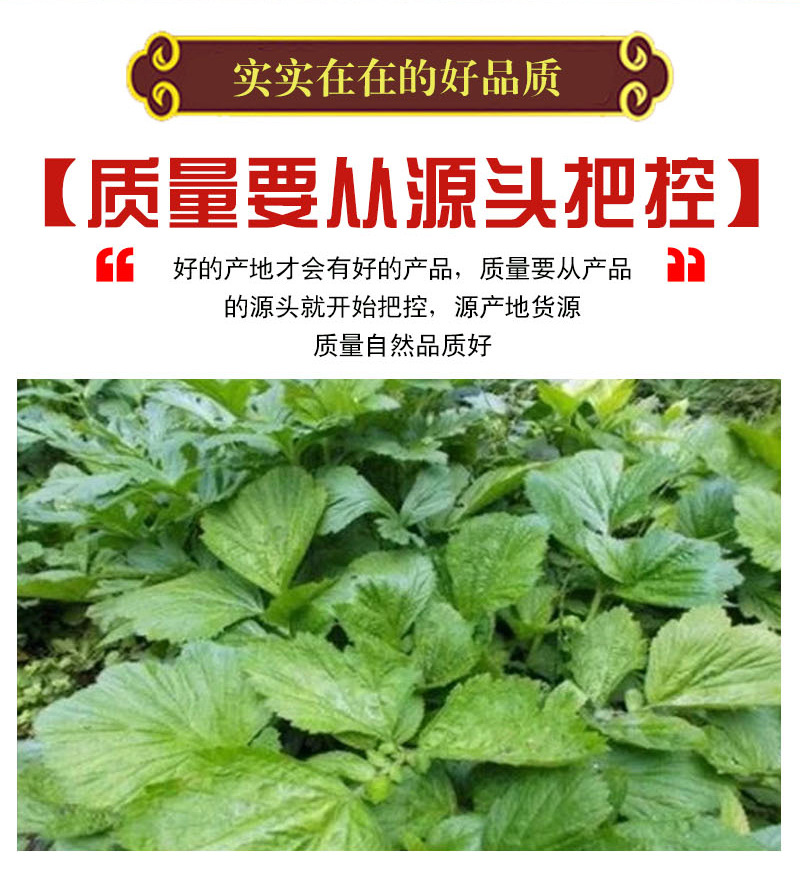 蓝布正 中药材 纯新货 蓝布正 蓝不正 追风七 500克 品种齐全