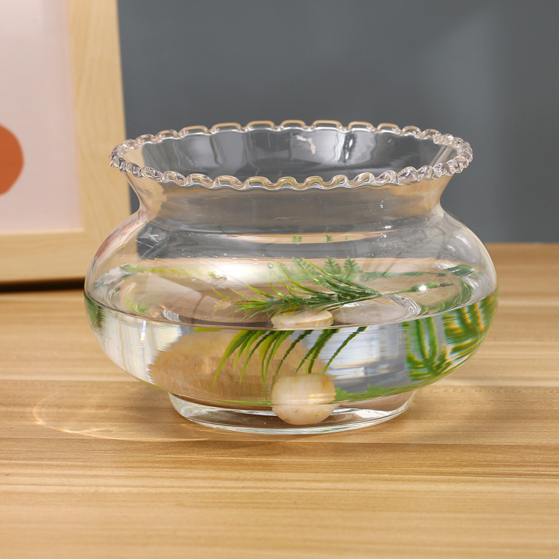 Factory Full Box Wholesale Lace round Fish Tank Hydroponic Green Dill Transparent Glass Vase Mini Small Landscaping Vase