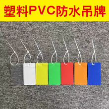 彩色塑料PVC空白标签物流吊牌挂签快运物料挂牌锁果树植物标识牌