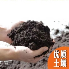 通用型养花营养土种菜土种树育苗多肉种植土土壤种花土盆栽泥土