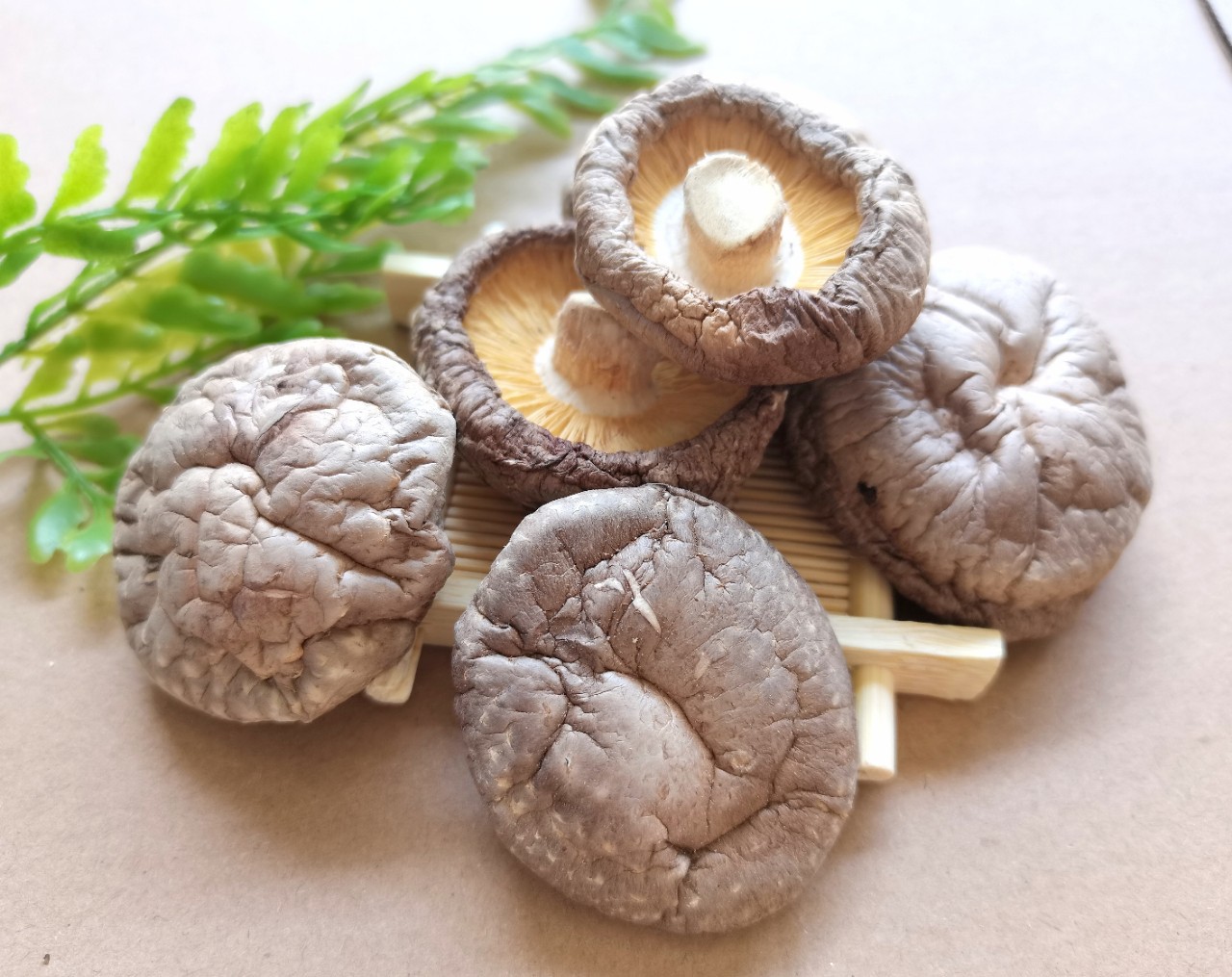 叶小玲古田县剪脚新货优选香菇木耳干货批发福建500g推荐-阿里巴巴