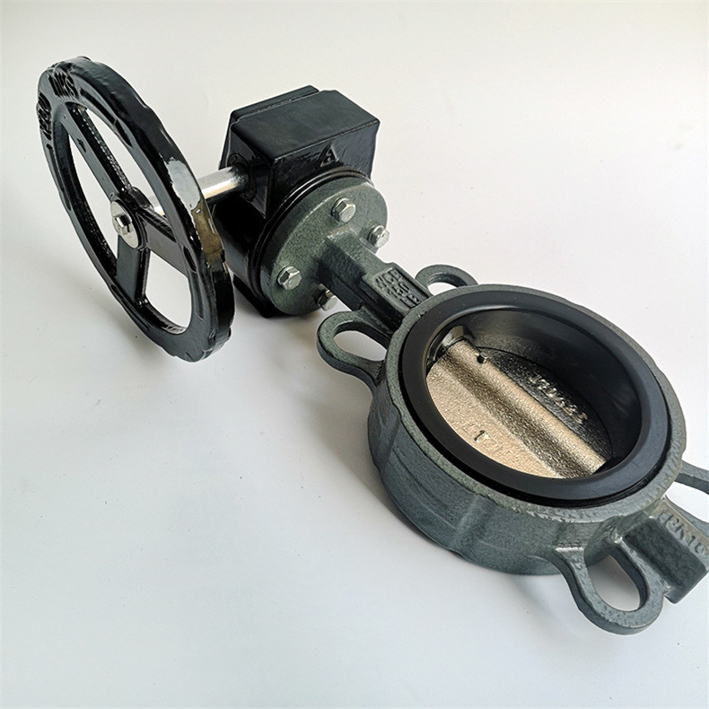 铸钢蜗轮对夹蝶阀d371x-16c 【津阀阀门】