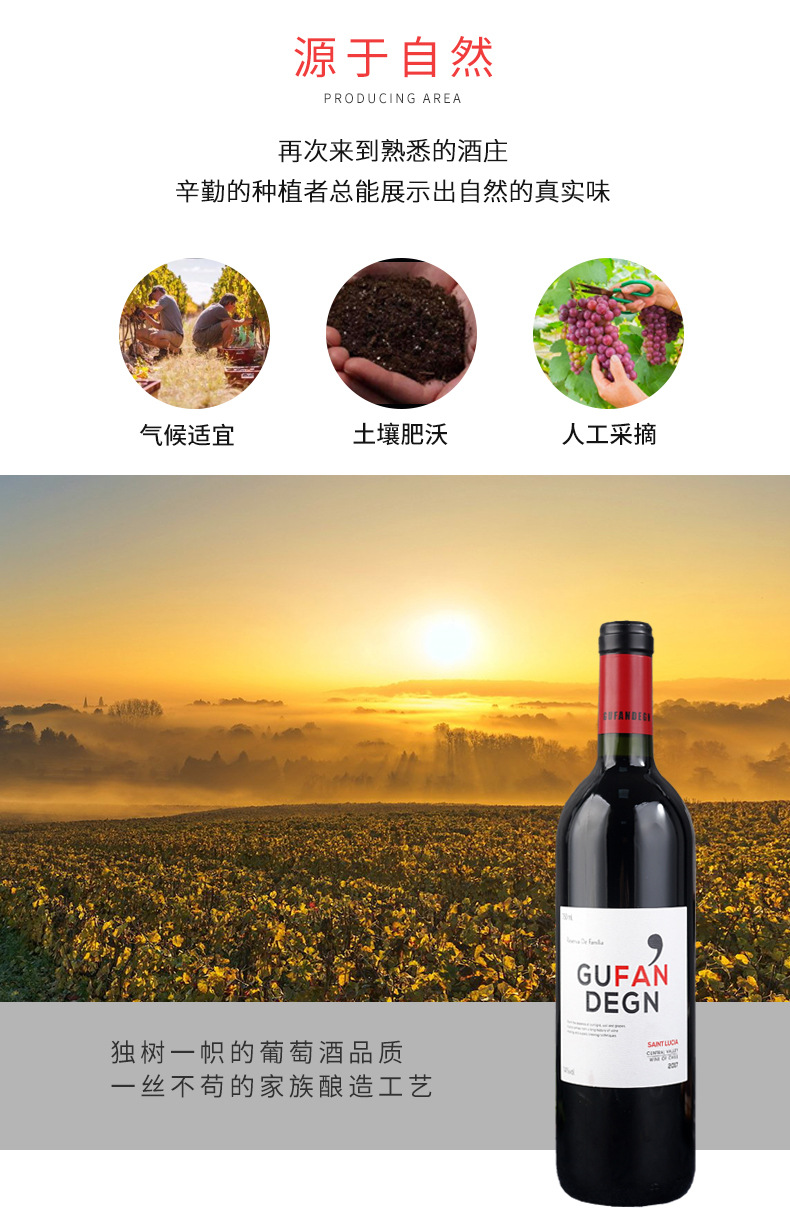 鹏辉酒水厂家古梵登2017圣西亚干红葡萄酒750ml烟台红酒批发14度