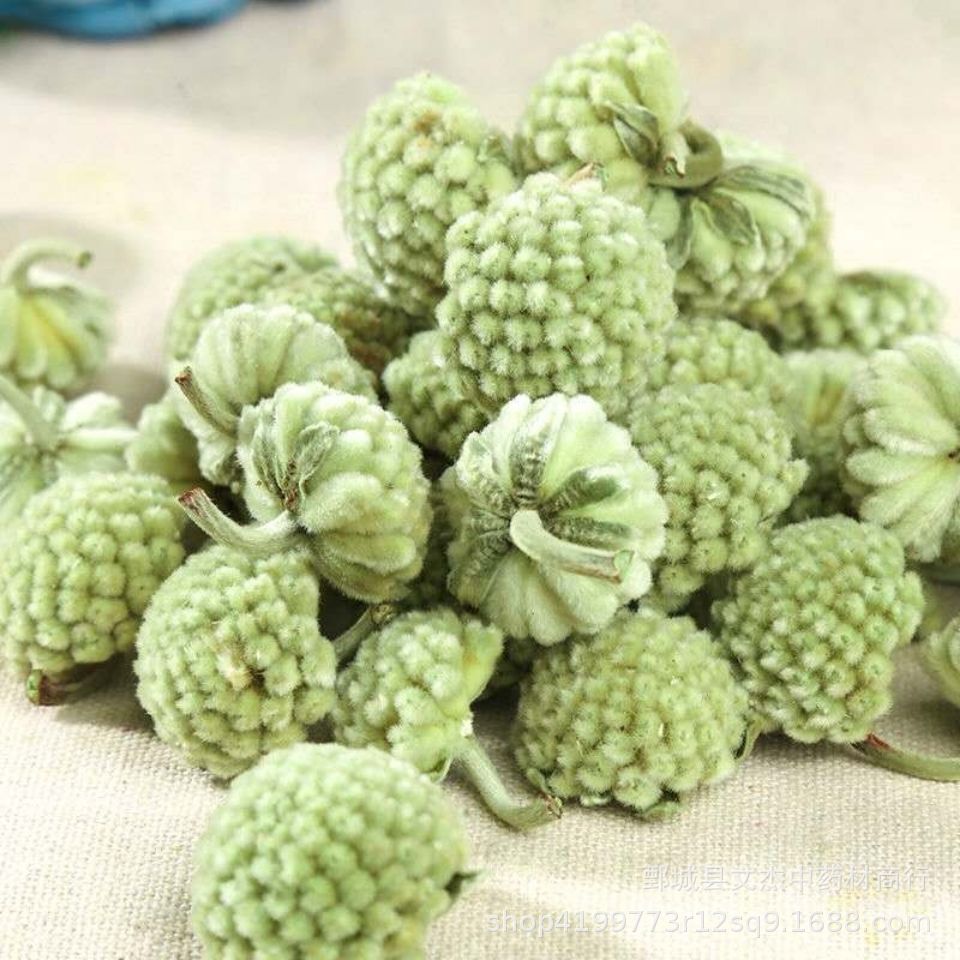 绿萝花 花茶西藏绿萝花新货批发【文杰中药材】