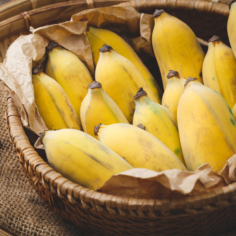 一件代发苹果蕉粉蕉香蕉当季新鲜现摘水果甜自然熟广州南沙万顷沙