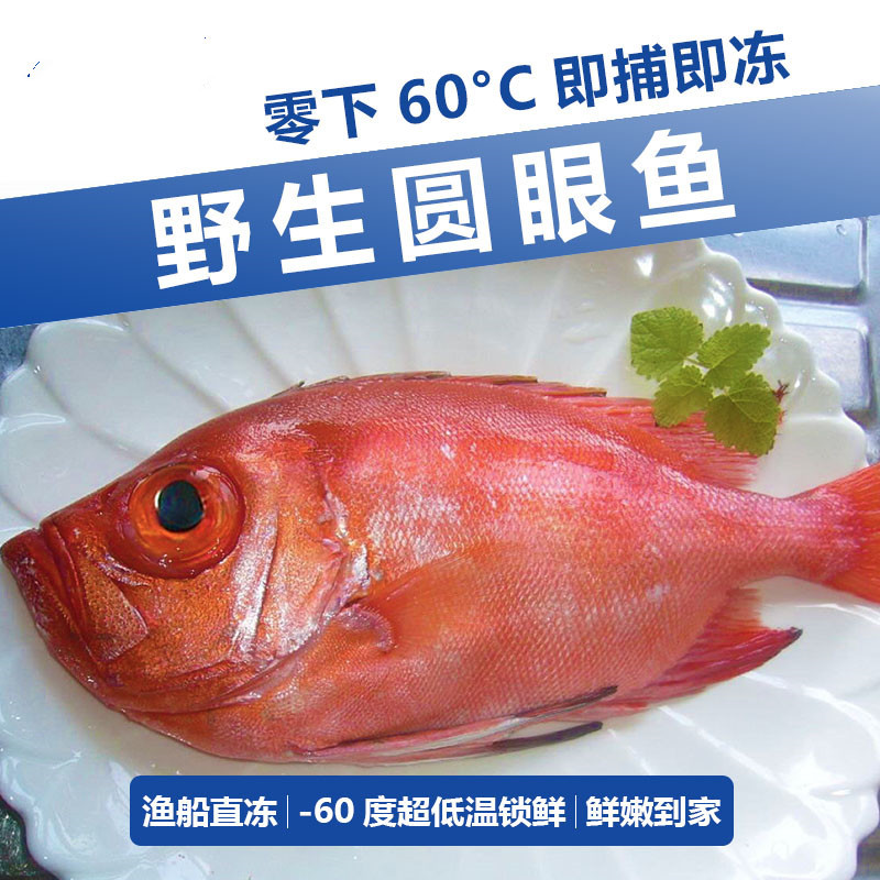 【餐饮整年供应】大眼鸡鱼日料刺身鲷鱼大红眼鸡红目鲢冰鲜活冻批