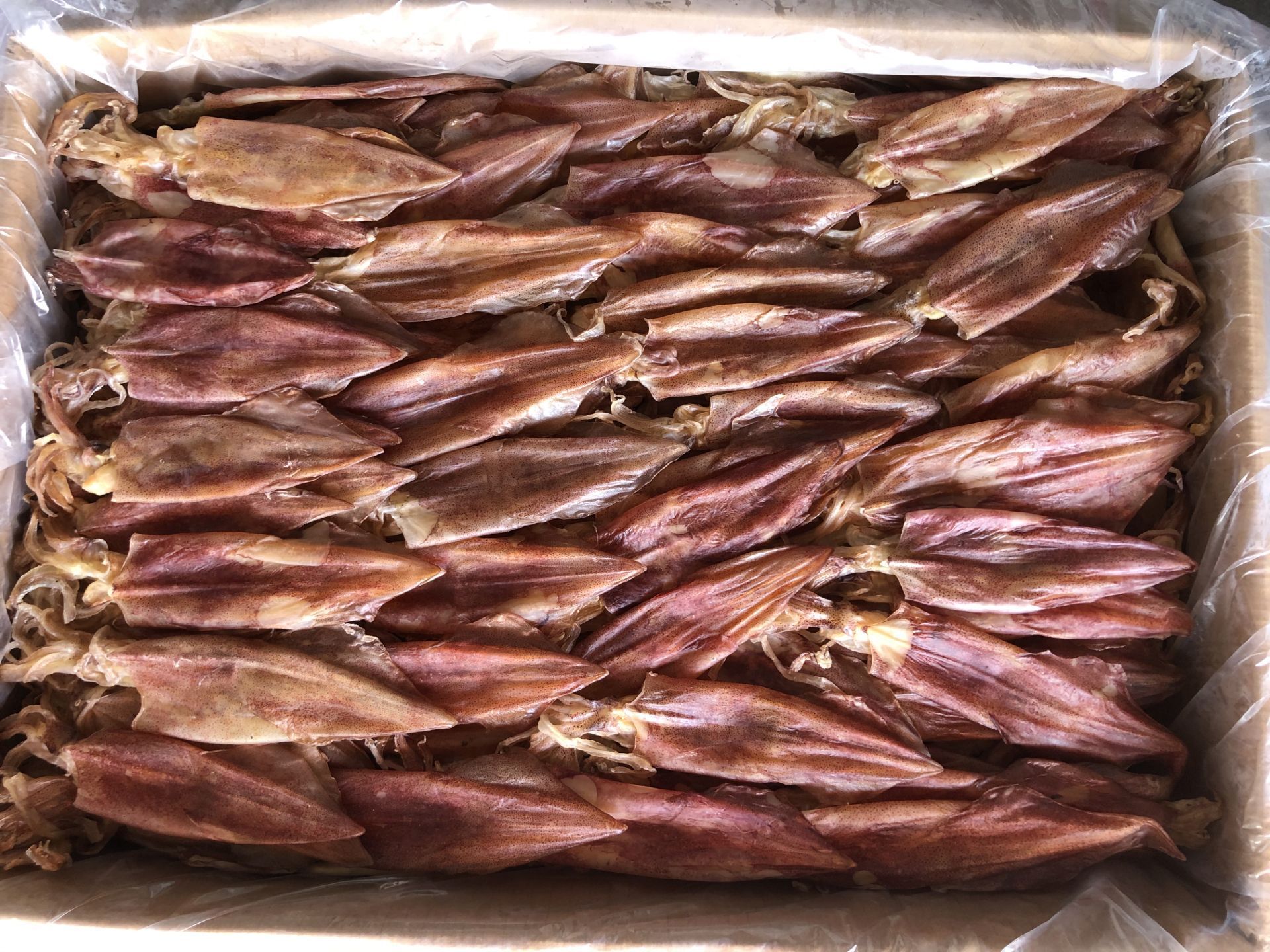 海洋生晒鱿鱼筒鱿鱼乌贼干鱿鱼干货鱿鱼头干批发鱿鱼仔