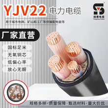 YJV22铠装电缆线 钢带铠装   带铠 2 3 4 5芯  电力电缆线