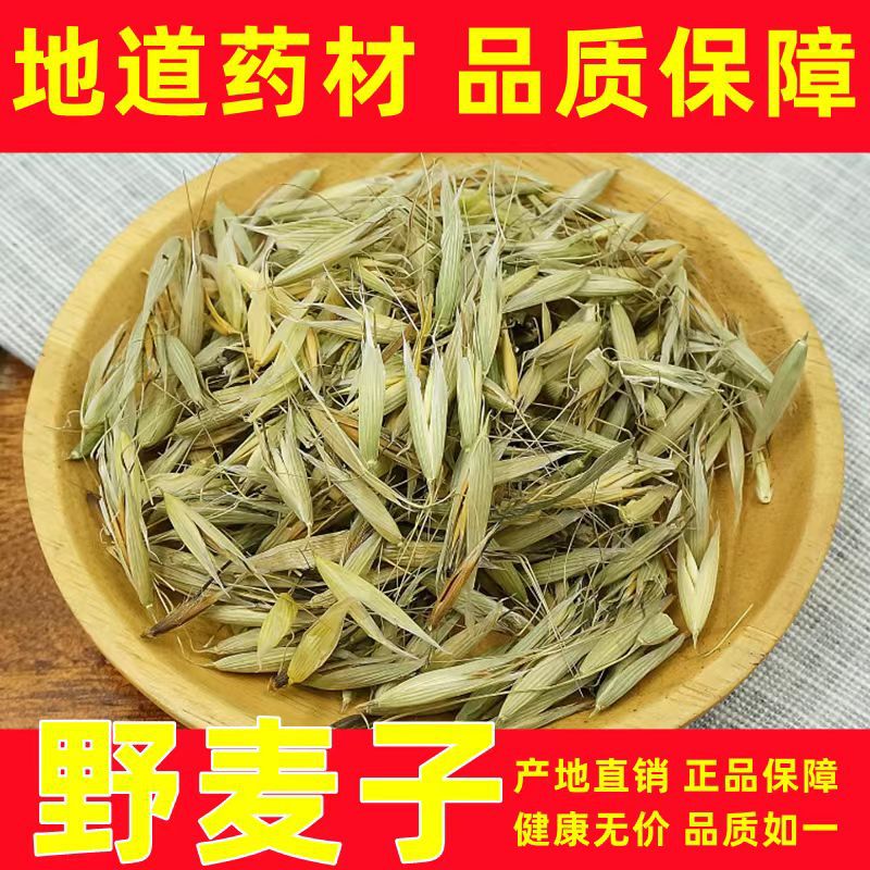 野麦子壳野燕麦草浮小麦壳盗汗多汗断奶自汗正宗穗野麦草野小麦籽