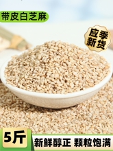 新鲜带皮白芝麻25kg/50斤包邮 出口级生白芝麻商用榨油免洗芝麻粒