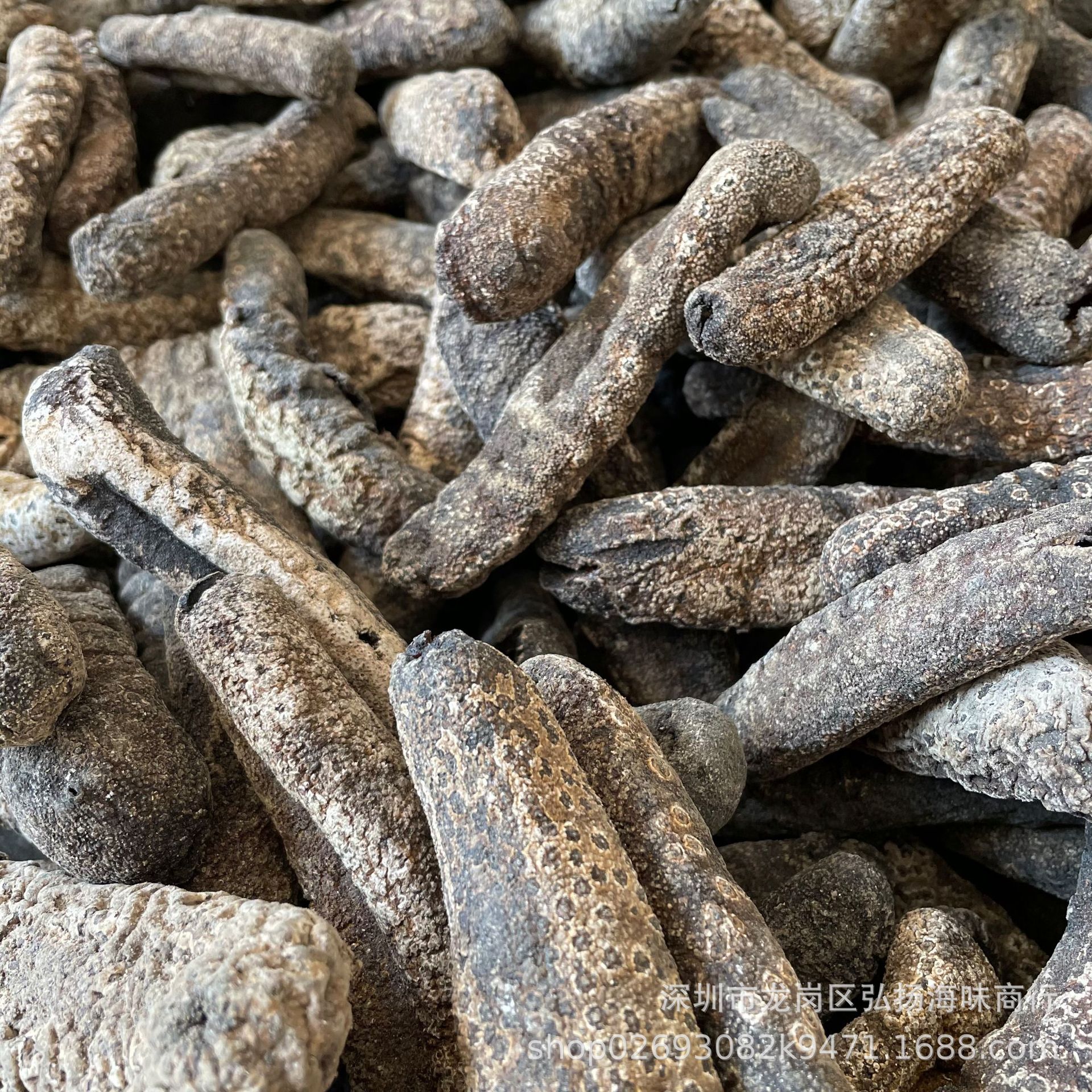 新几内亚虎皮参 黑虎皮参 大赤参 赤条海参干货 7-15头