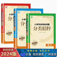 2024版 通城学典 小学毕业考试试题分类精粹语文数学英语 通用版