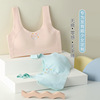 Developmental stage girl Underwear Borneol ventilation Emptied girl Bras vest two or three stage student Wrap chest undergarment covering the chest and abdomen Developmental stage girl Underwear Borneol ventilation Emptied girl Bras vest two or three stage student Wrap chest undergarment covering the chest and abdomen