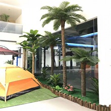 仿真椰子树假椰树仿生绿植摆件大型室内外热带植物造景装饰棕榈树