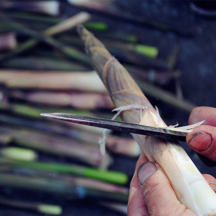 2022新四川产野生木竹笋干笋干货 高山小笋嫩笋干 250g