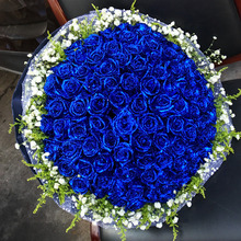 99朵蓝玫瑰花束生日蓝色妖姬鲜花速递成都合肥同城郑州花店送花