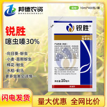 先正达锐胜 30%噻虫嗪玉米水稻蓟马蚜虫跳甲拌种剂进口农药杀虫剂