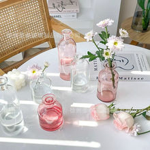 跨境热卖彩色透明玻璃花瓶款小口玻璃瓶水培插花瓶家居工艺品摆件
