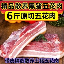 厚切猪五花肉新鲜土猪商用五花肉块批发猪肉散养生猪肉五花肉