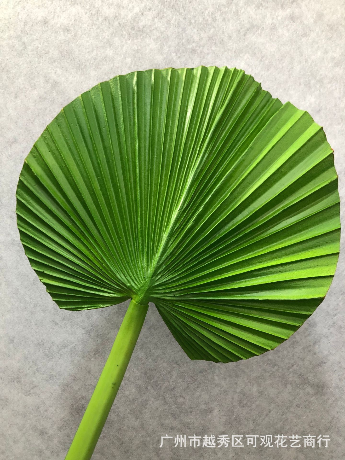 叶子直径:31cm 叶子长度:31cmpu圆形蒲葵 整体高度:87cm产品展示支付