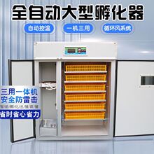 工业级孵化机全自动中型受精鸡蛋鸟蛋可孵化箱鸵鸟孔雀大型孵化器