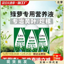 绿萝营养液肥料花肥家用盆栽通用型吊篮常青藤文竹植物活力素