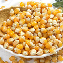 爆裂玉米粒小玉米球形爆米花专用玉米商用家庭自制爆花小包装