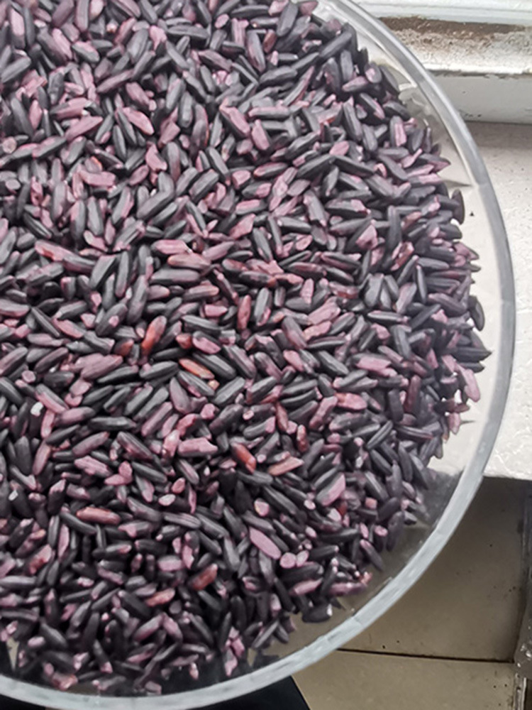 紫糯米云南墨江紫米农家自产晒干血糯米哈尼梯田老品种杂粮1000克