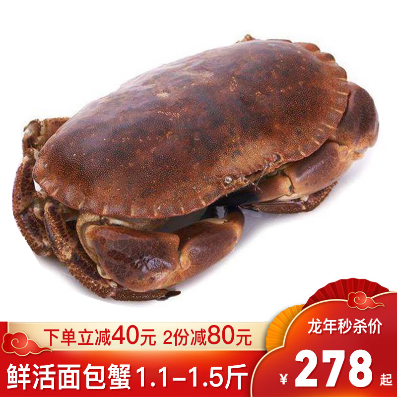 尝鲜生 面包蟹超大螃蟹英国鲜活膏蟹 黄金蟹生鲜健康轻食1只 鲜